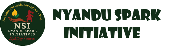 Nyandu Spark Initiative